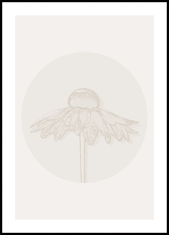 Picasso - De Rozen Poster