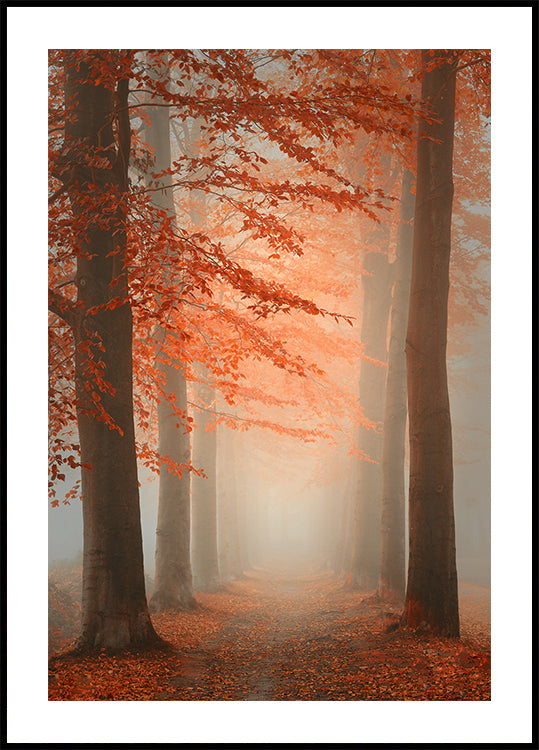 Herfst droom poster