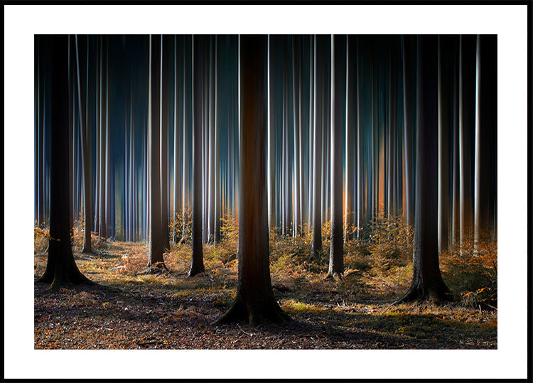 Mystiek hout