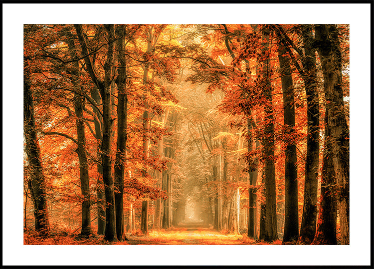 Verlaat de Portaalposter