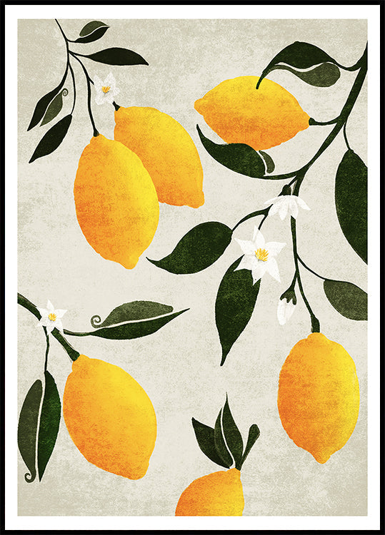 Citrus symfonie poster