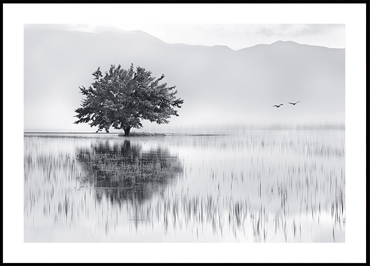 Lente spiegel