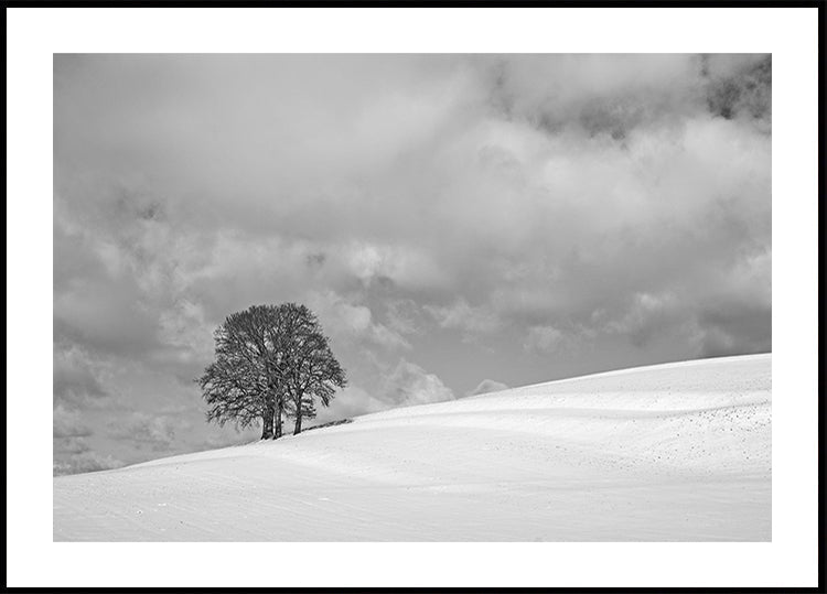 Een bewolkte winterdag-poster
