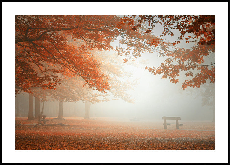 De wonderen van de natuurposter