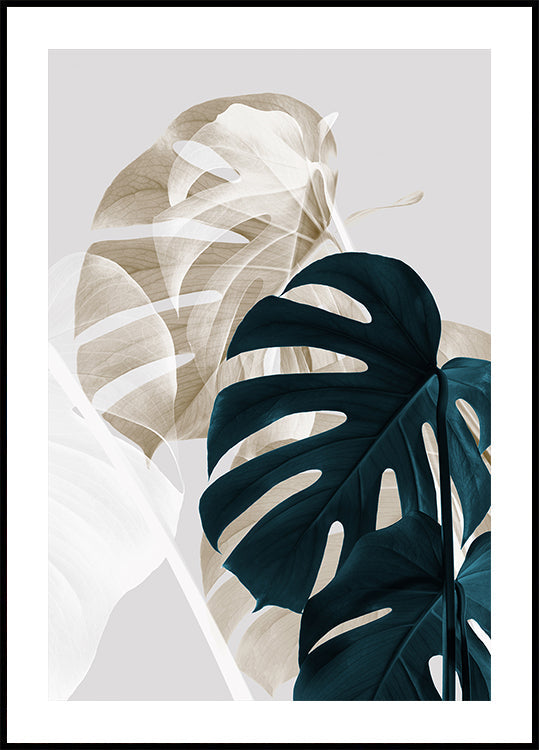 Monstera Creatief 05