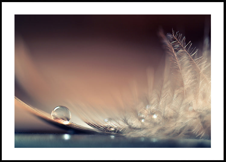 Verhalen over druppels