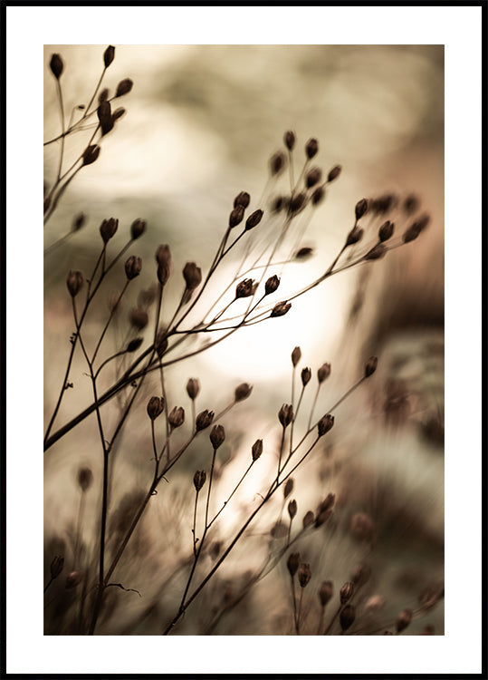 Herfst lichten