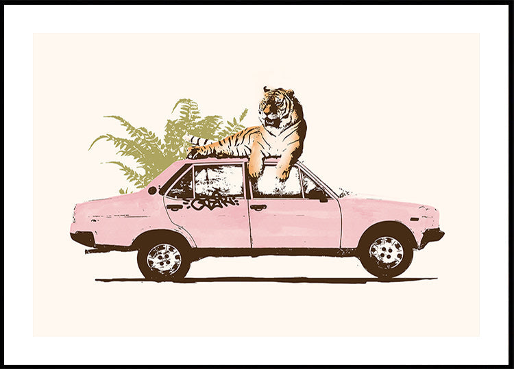 Tijger op auto