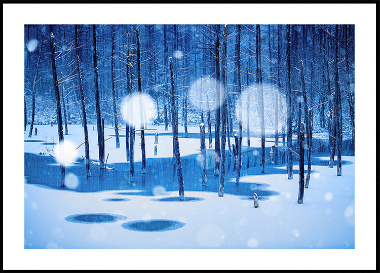 Sprookjesland-poster