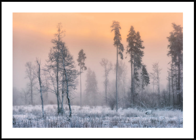 Ijzige ochtendposter