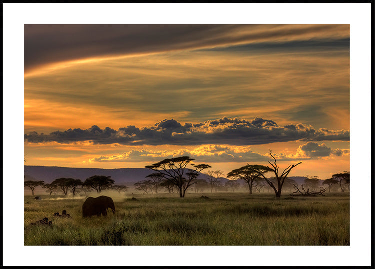 Afrika-poster