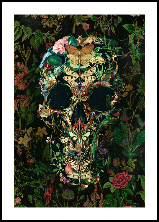 Papillon schedel poster
