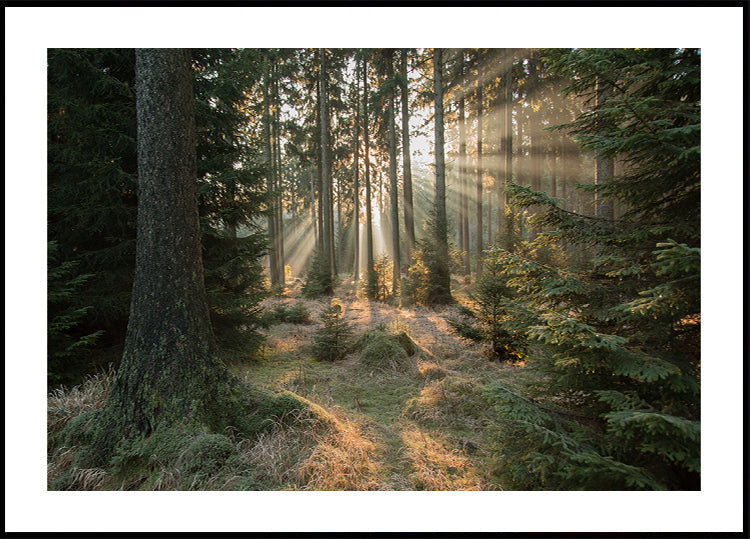 Stralen, deel 2 poster