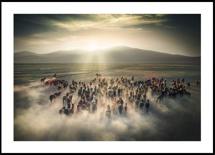 Wilde paarden-poster