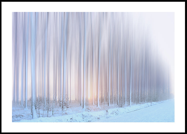 een gordijn van bomenposter