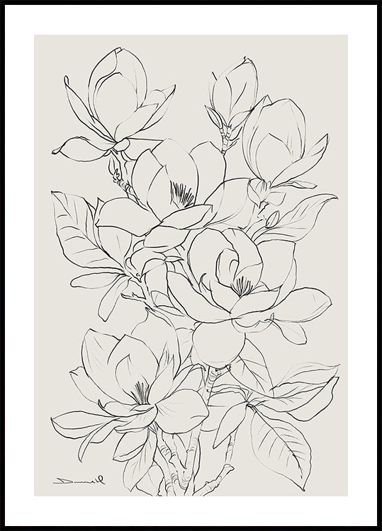 Magnoliaboom