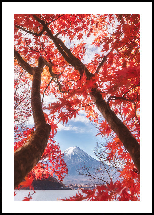 Mt.fuji is in de herfstbladeren Poster