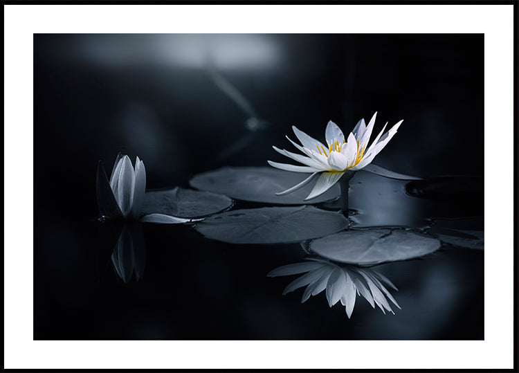 Reflectie-poster