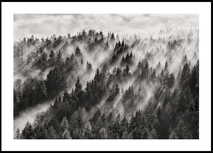 Sundance nr. 1-poster