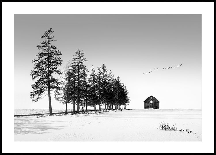 Een zonnige winterdag-poster