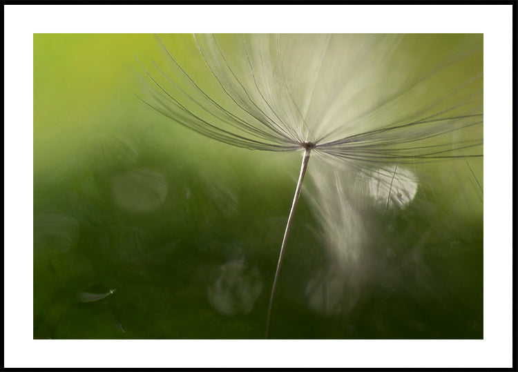 Schaduwen in het groen