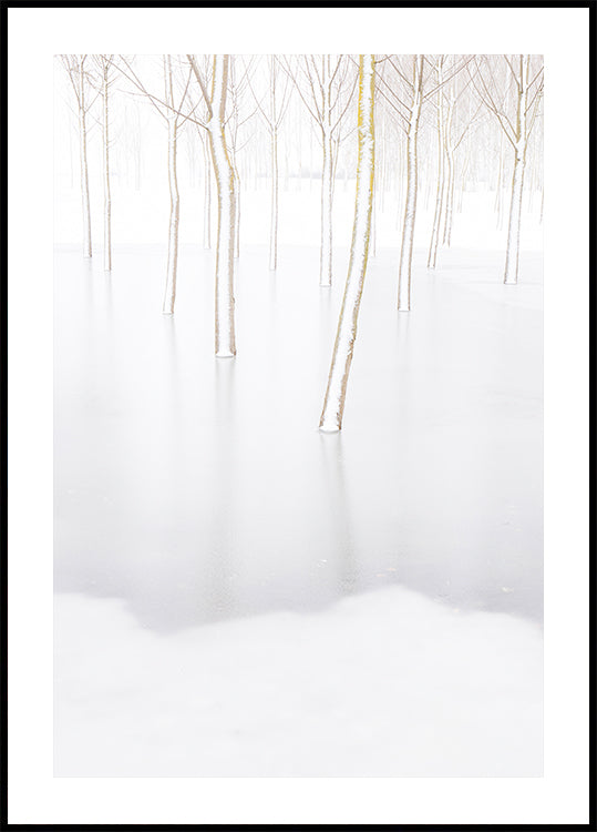 Winter reflectie poster