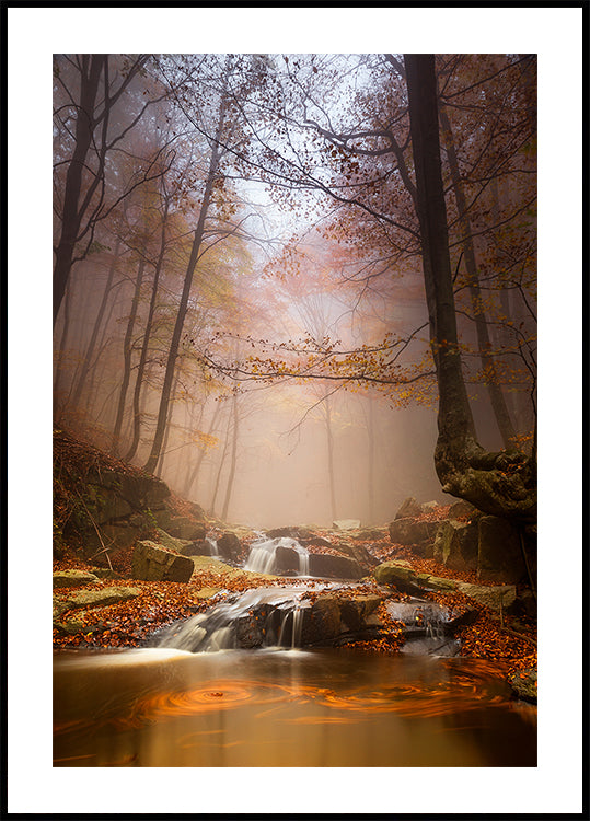 Mistige mistposter