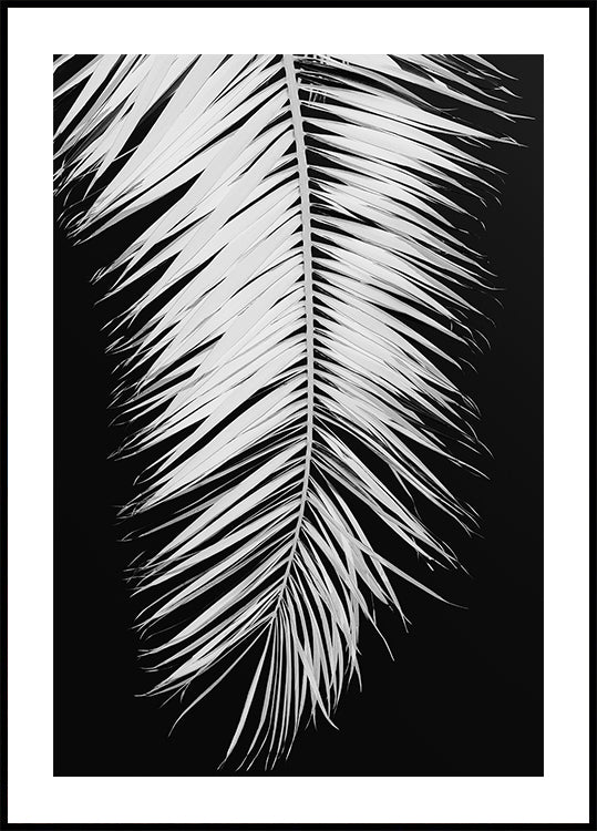 Palmblad nr. 4 poster