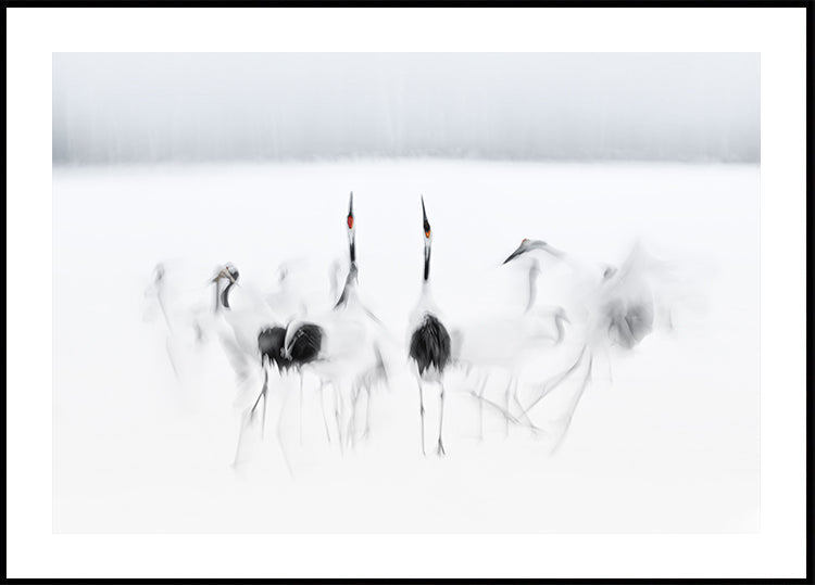 Kalligrafische balletposter