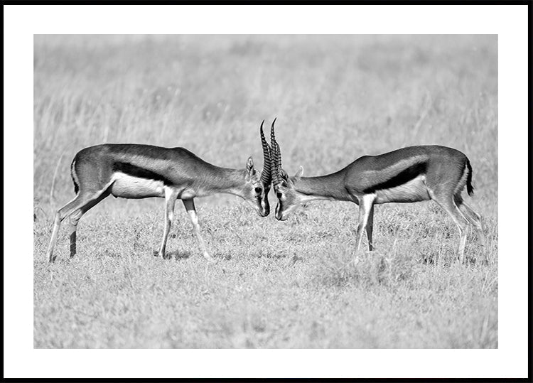 Van aangezicht tot aangezicht affiche