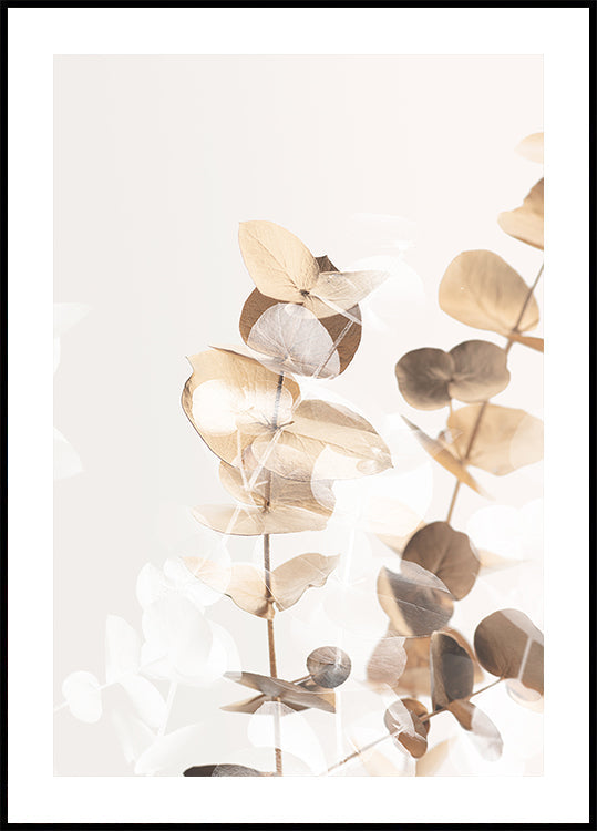 Eucalyptus creatieve gouden 01 poster