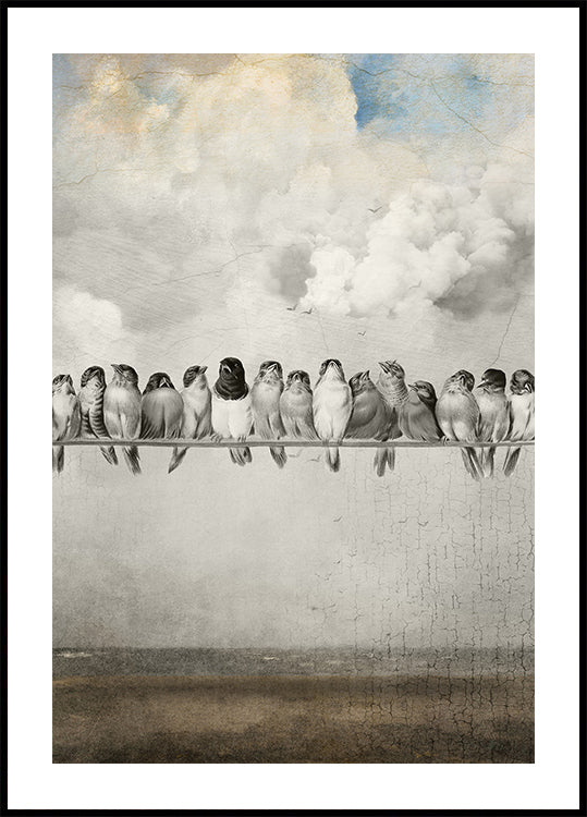 Alle mooie vogels-poster