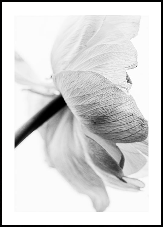 Bloeiende bloemposter