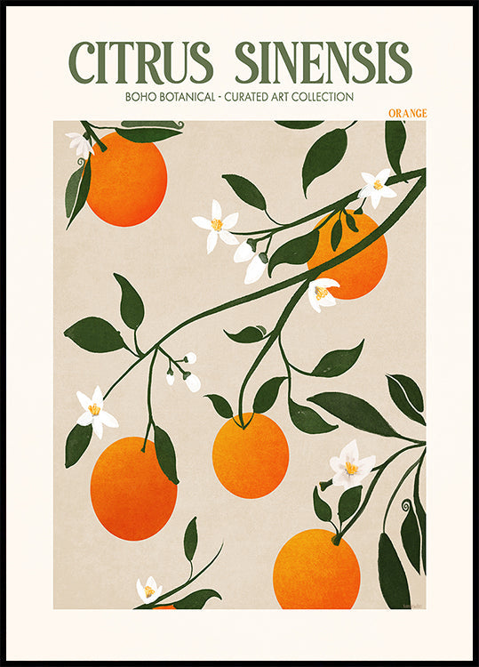 Oranje elegantie poster