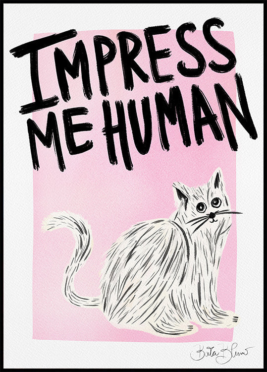 Katteneigenaar - maak indruk op mij menselijke poster