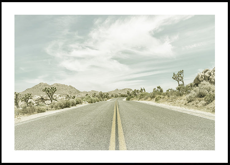 Vintage Joshua Trees, Park Boulevard-poster