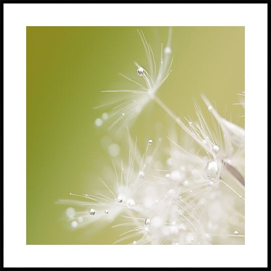 Groene affiche