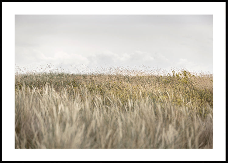 Duinen en wolken 2