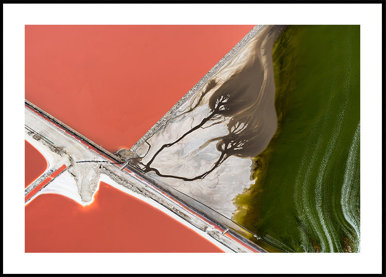 Het schilderij van de natuur