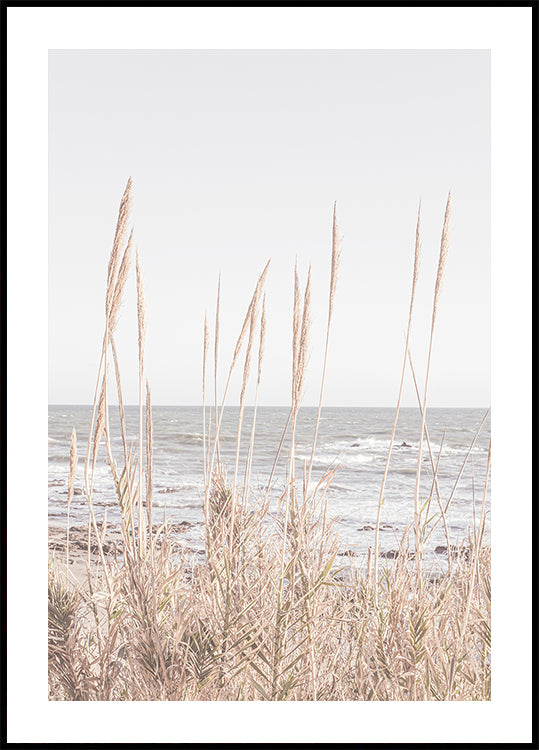 Strand_Vass_001-poster