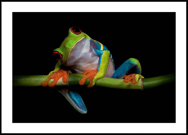 Nieuwsgierigheid-poster