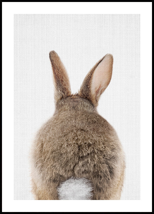 Kiekeboe Bunny staart poster
