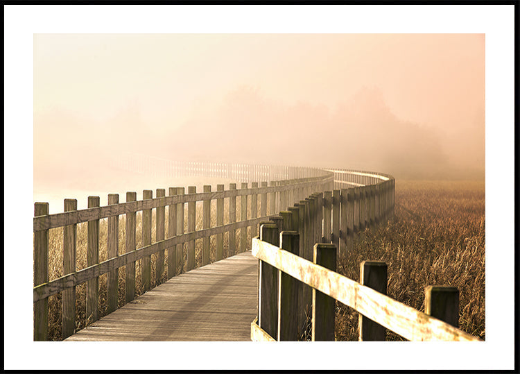 Het pad wordt helderder.