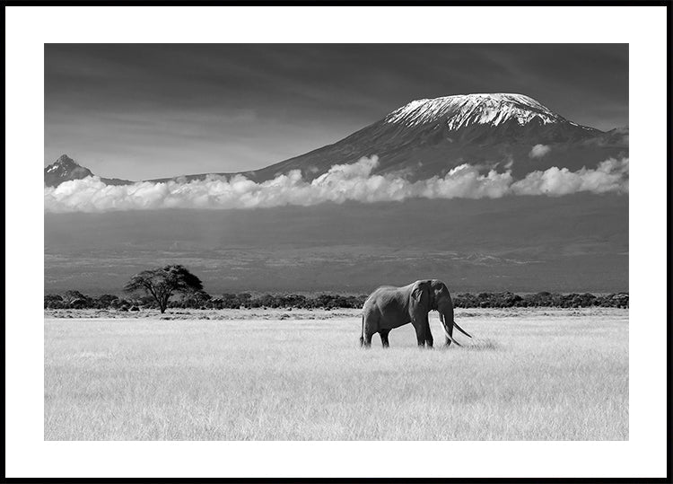 Verloren kleuren II-poster