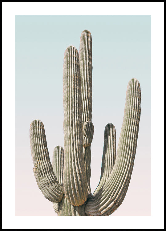 Saguaro-poster