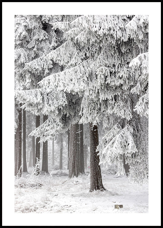 Winterbos 2
