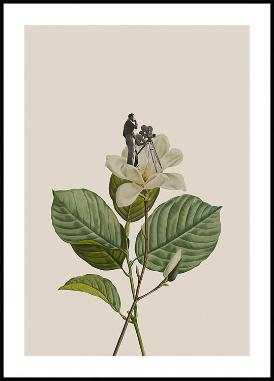 Botanische vintage cameraman Poster