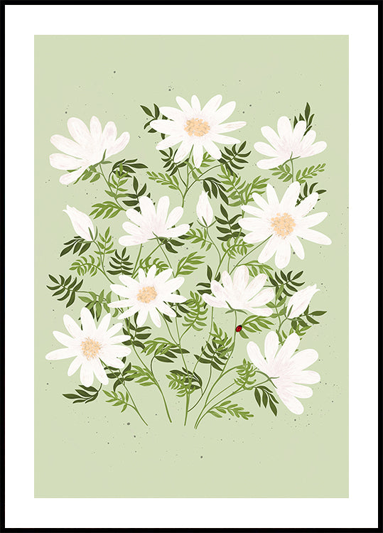 Lieveheersbeestje bloemen