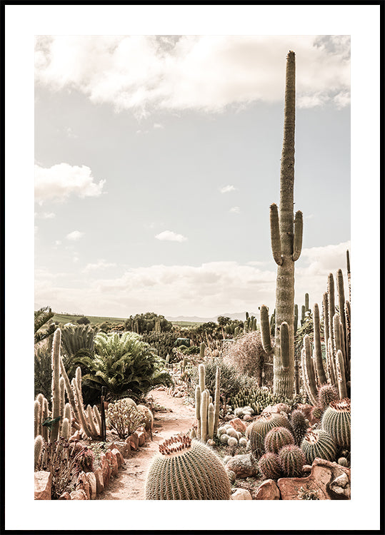 Cactus boerderij poster