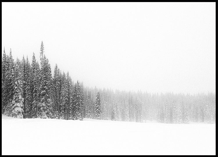 Bos voor de bomenposter